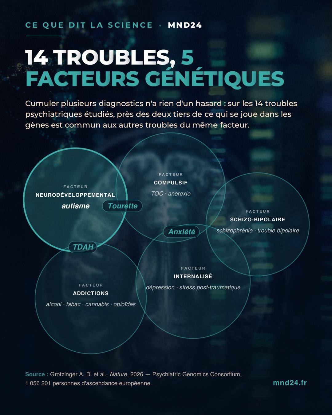Schéma MND 24 présentant cinq facteurs génétiques : neurodéveloppemental, compulsif, schizo-bipolaire, internalisé et addictions.