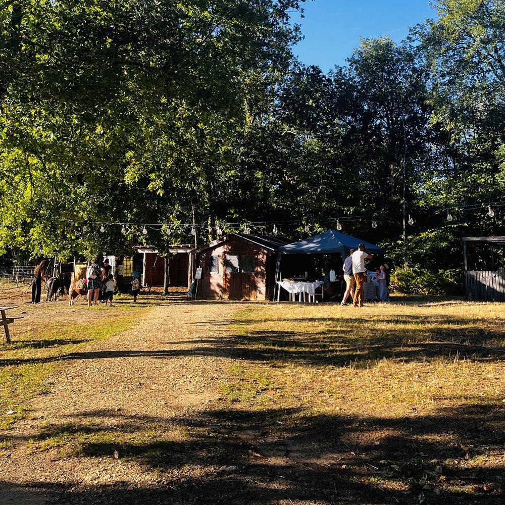 La mini-ferme de Fossemagne en fin de journée : poneys, cabane et guinguette sous les arbres